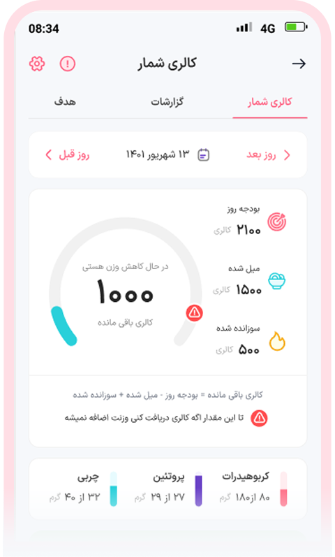 کالری شمار حرفه ای